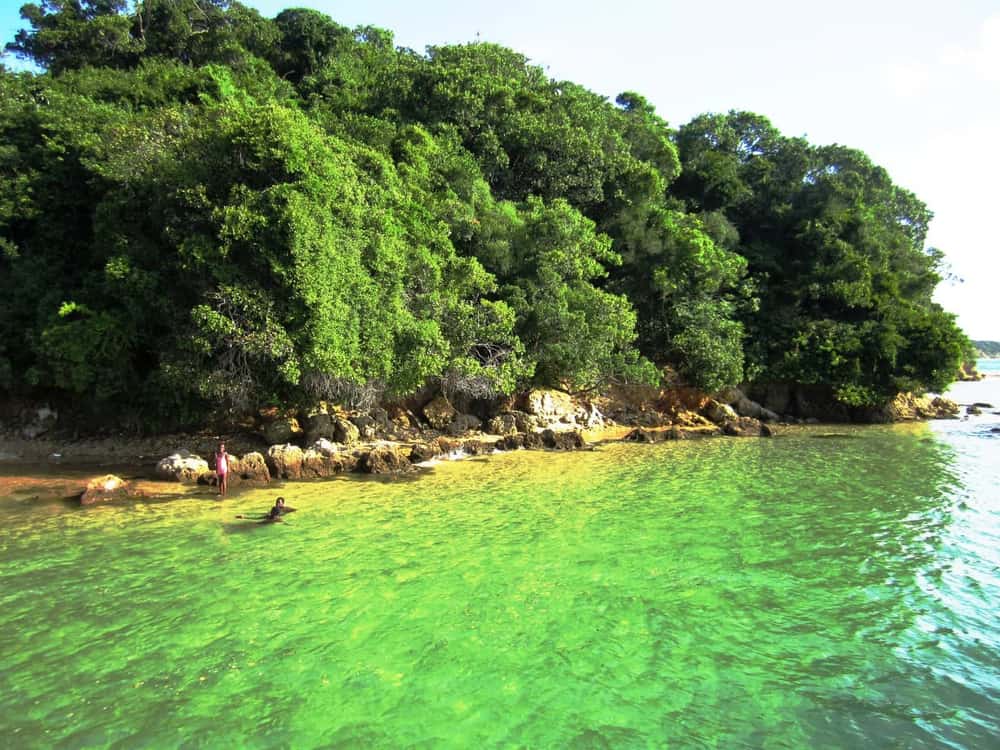 Costa e vegetação na Ilha da Inhaca