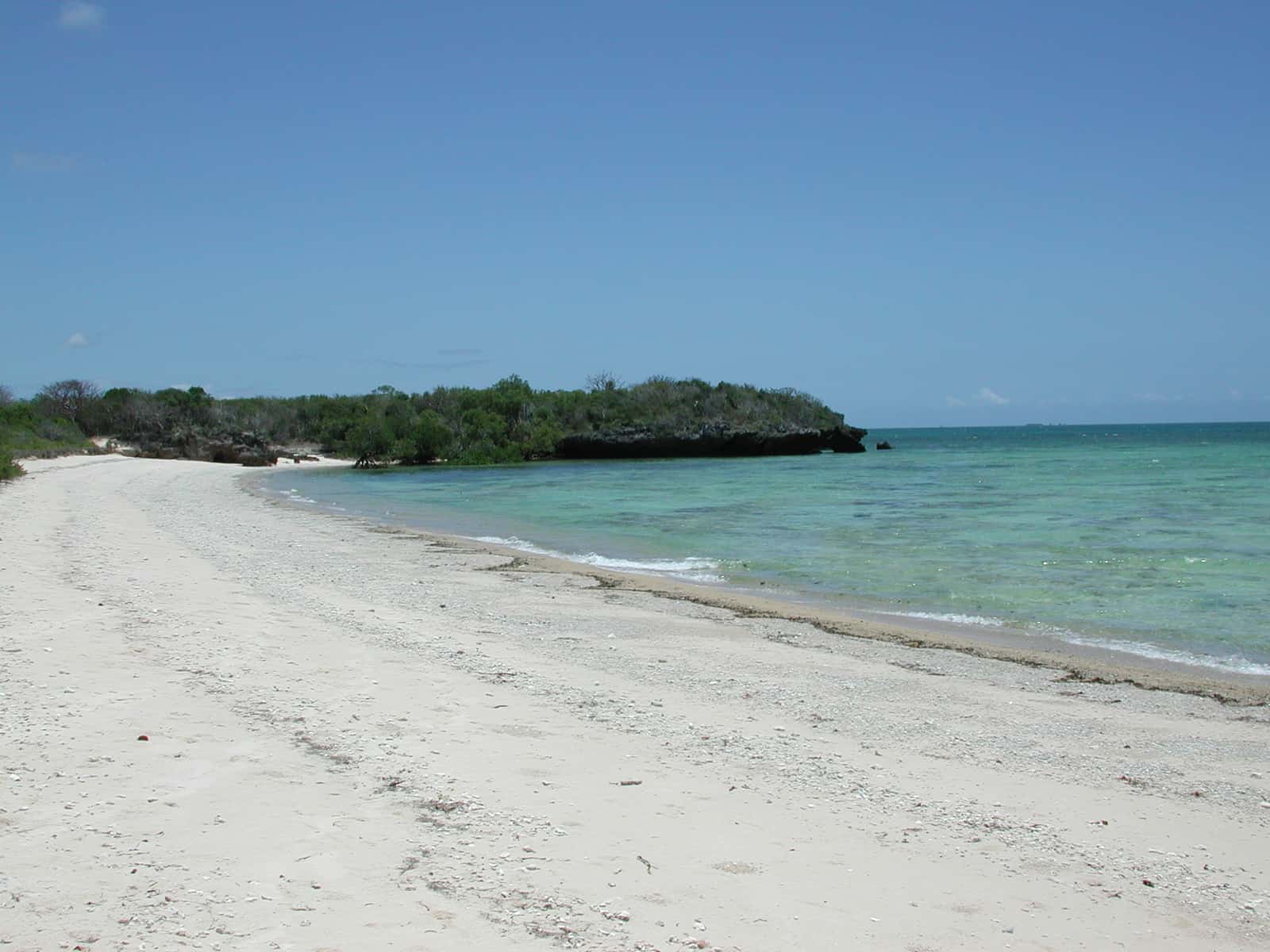 Ilha de Quilálea nas Quirimbas