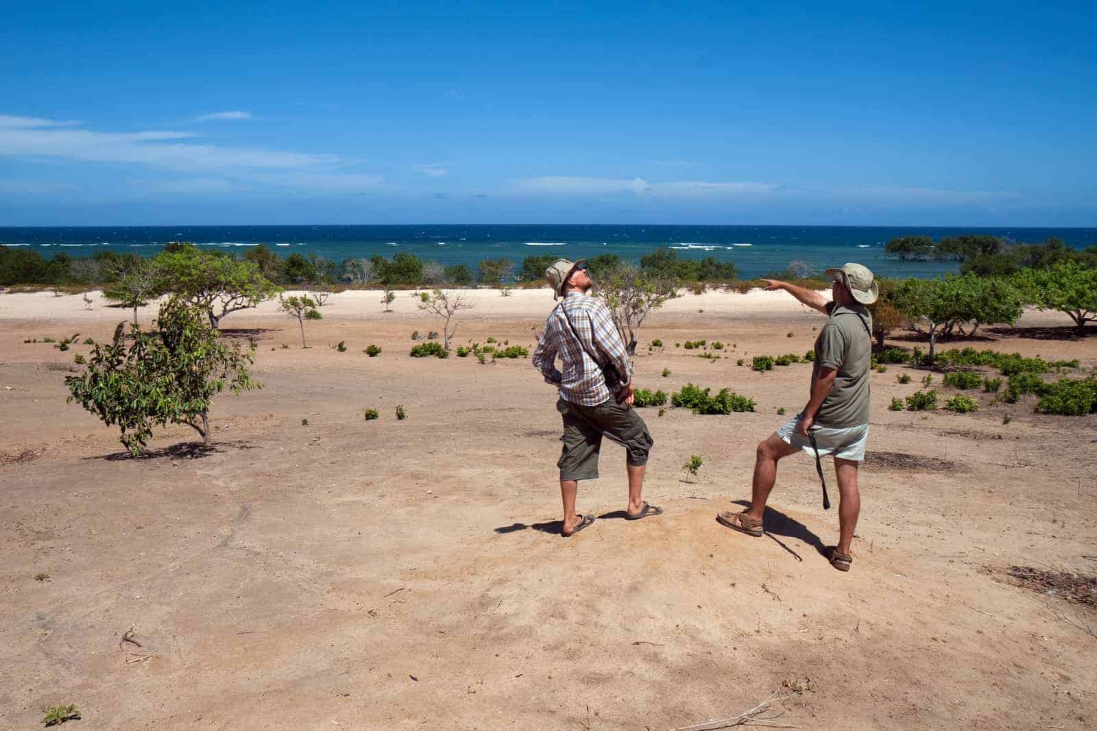Coast and shoreline vegetation south of Pemba