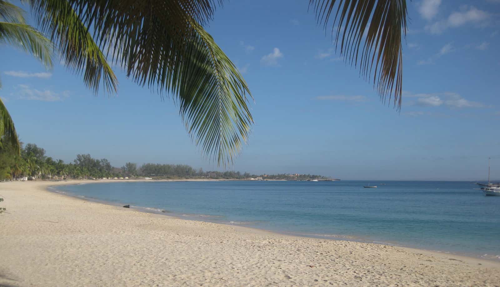Wimbi Beach with sand and coastal vegetation